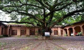 墨西哥人是印第安人吗